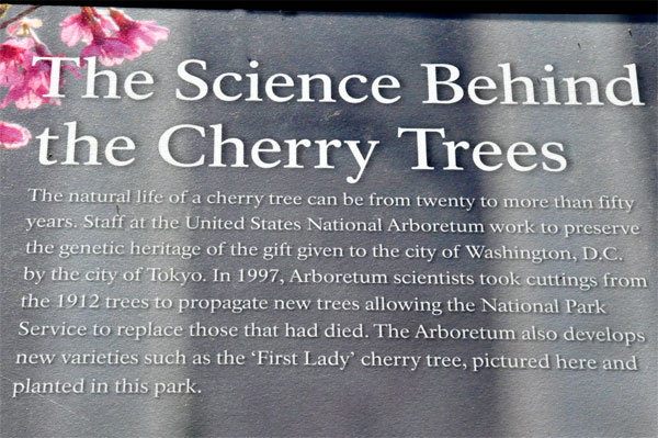science behind the Cherry Trees sign