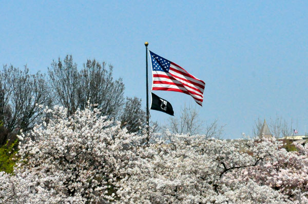 USA flag and POW flag