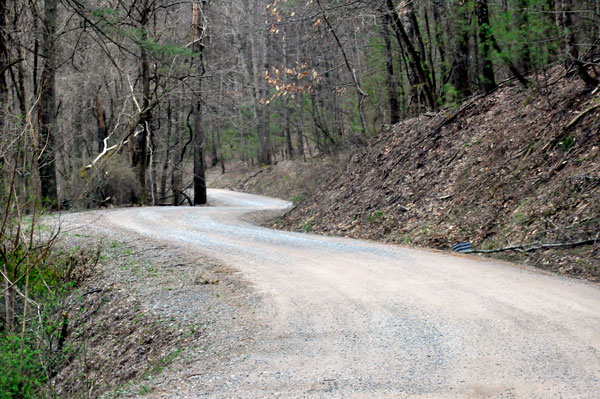 curves on Panther Falls Road