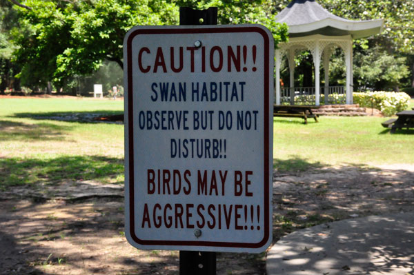 caution sign about the swans