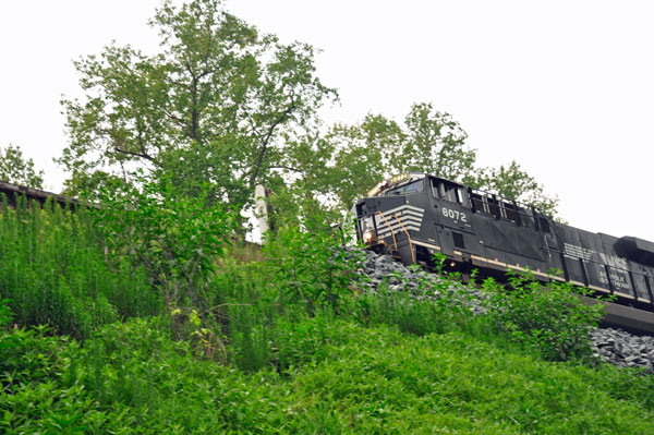 A train on the railroad trestle