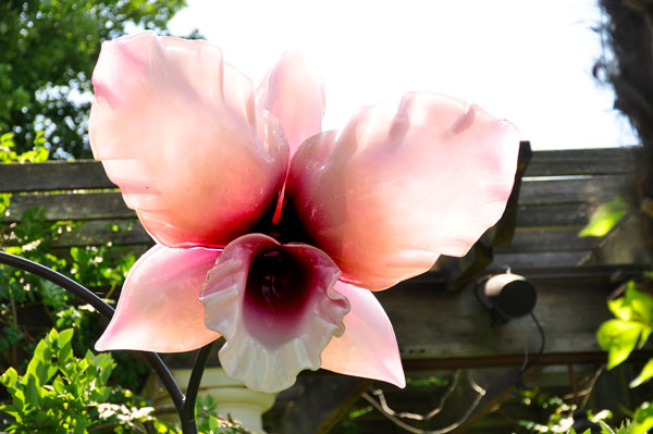 pink and white Cattleya glass flower