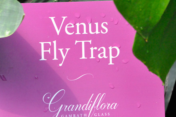 Venus Fly Trap sign