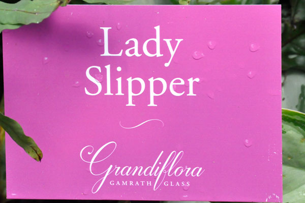 Lady Slipper sign