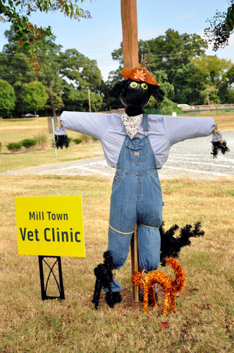 Fort Mill Vet Clinic scarecrow