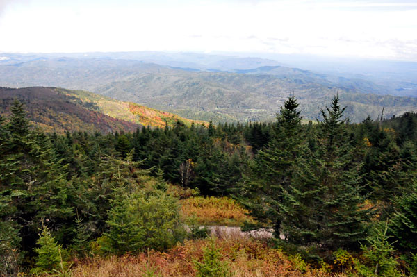 view from Mt. Mitchell