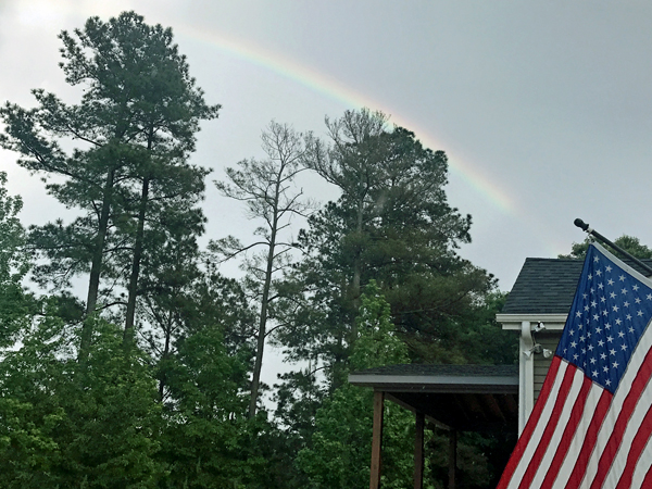rainbow and flag