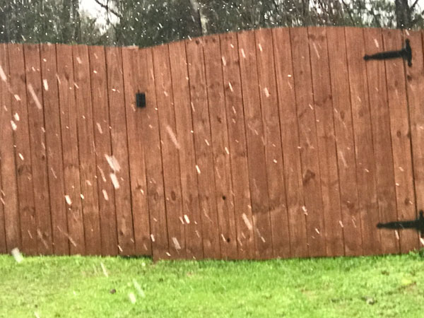 snowing by the fence