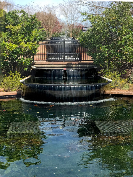 fountain at Glencairn garden