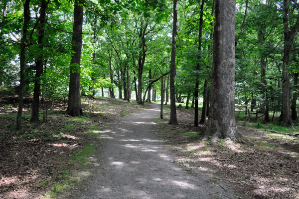 trail at Anne Springs Close Greenway
