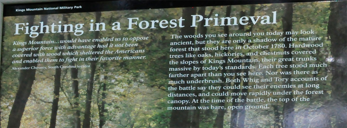 sign about fighting in a Forest Primeval