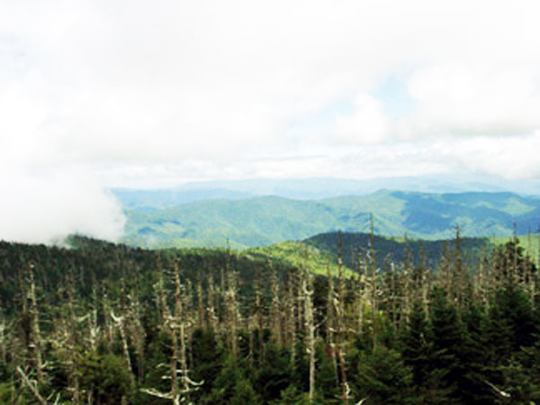 view from Clingman's Dome