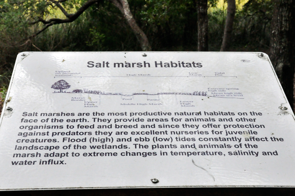 Salt Marsh Habitat  sign