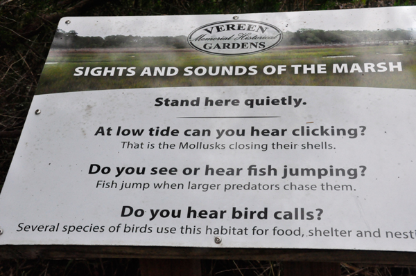 sights and sounds of the marsh - sign