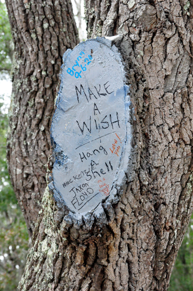 make a wish and hang a shell sign