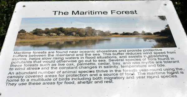 sign about The Maritime Forest