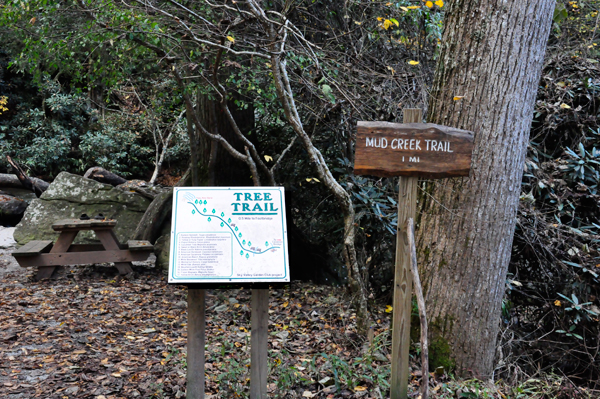 Mud Creek Falls trail sign