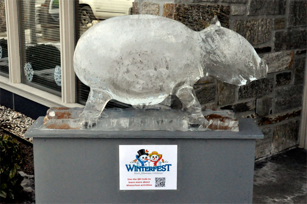 Ice Sculpture from Winterfest
