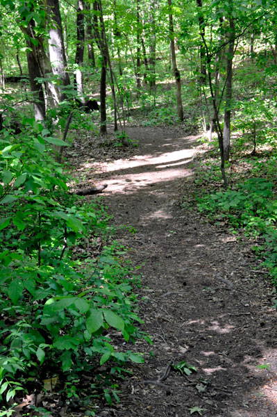 hiking trail at Big Rock Nature Preserve