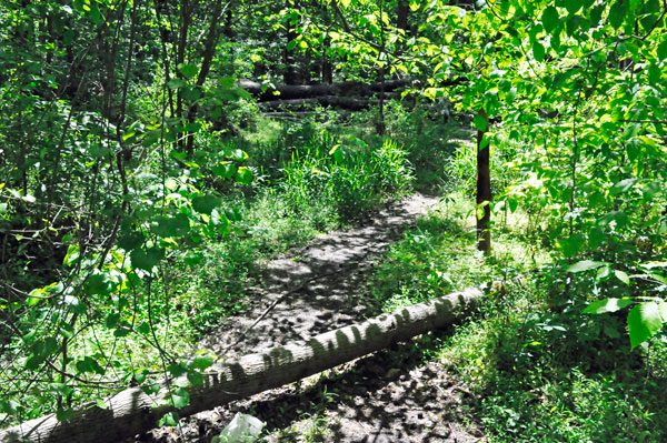hiking trail at Big Rock Nature Preserve