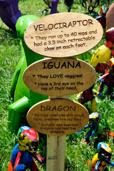 Iguana and dragon sign