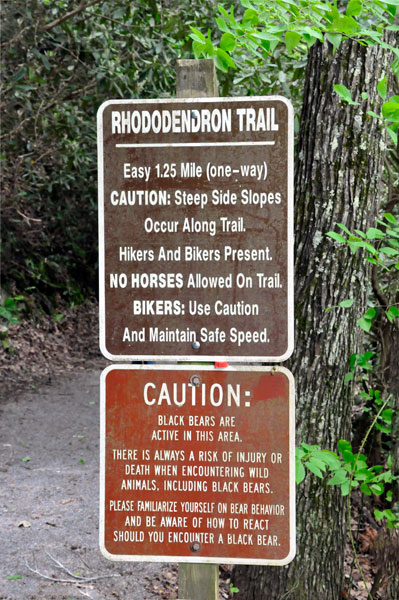 Rhododendron Trail sign