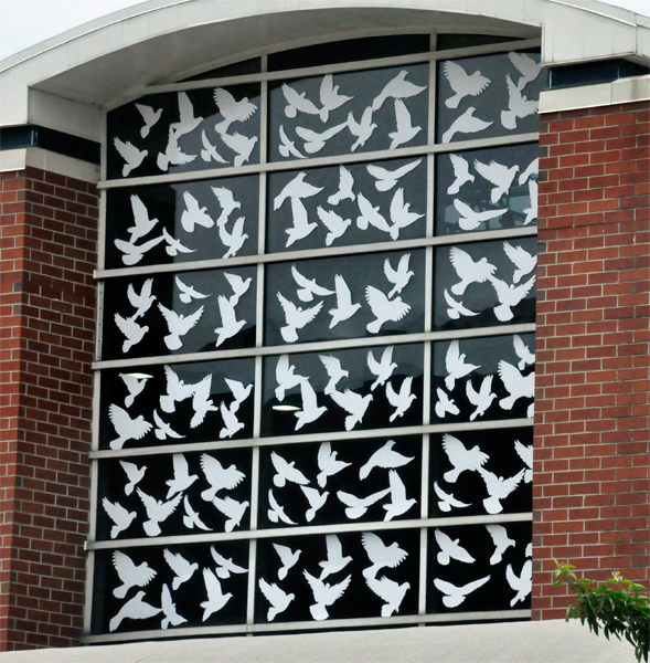 doves in window
