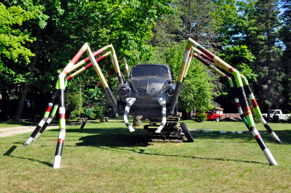 Beetle Bug Spider