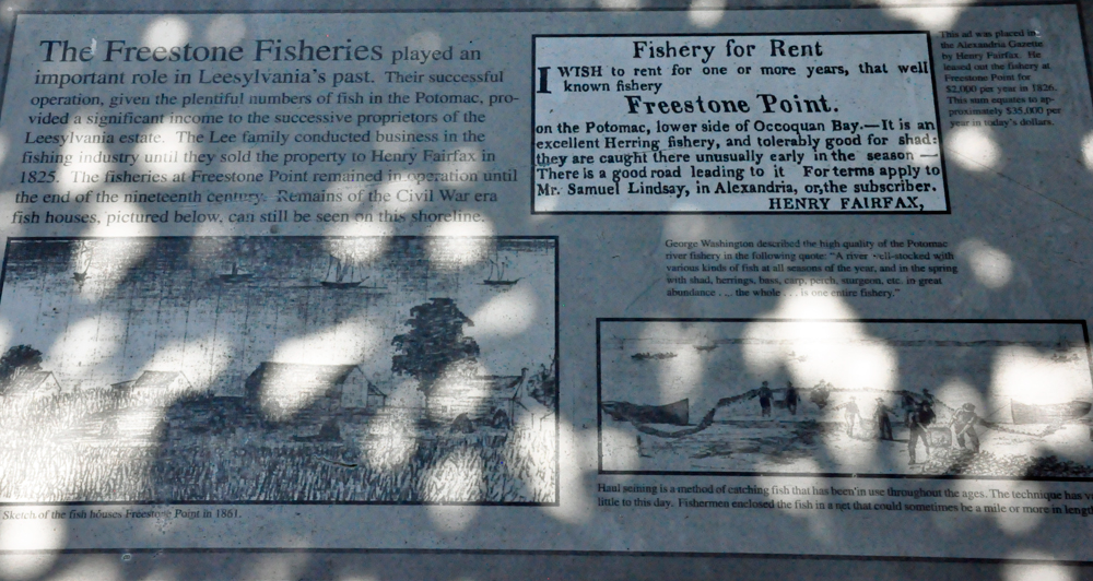 The Freestone Fisheries info