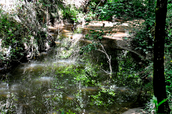The creek at Big Rock Nature Preserve