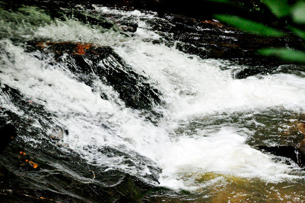the flowing water