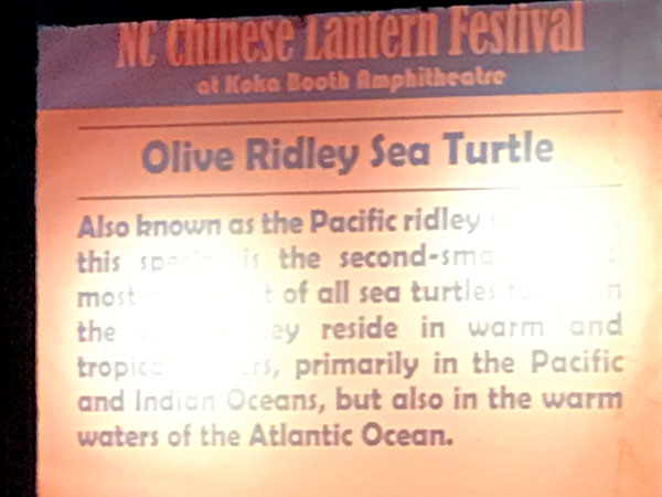 Olive Ridley Sea Turtle sign
