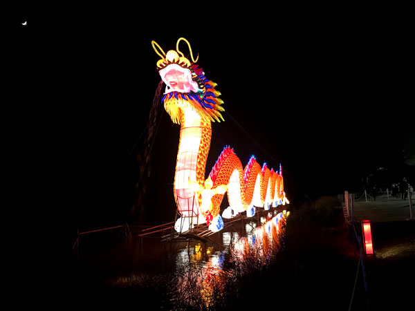 Chinese Dragon and reflections