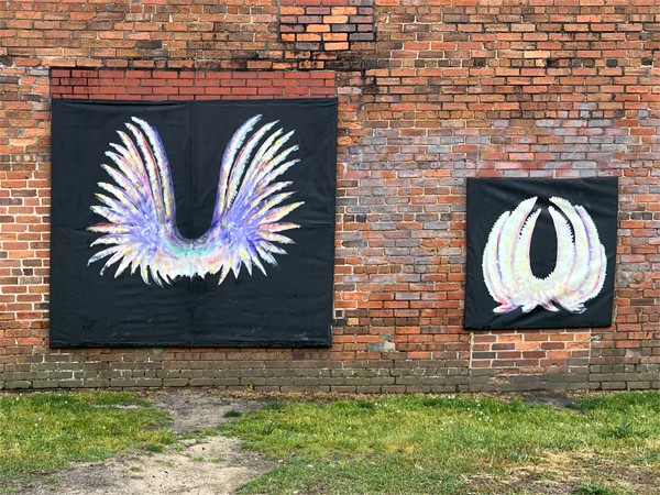 two wings on a wall