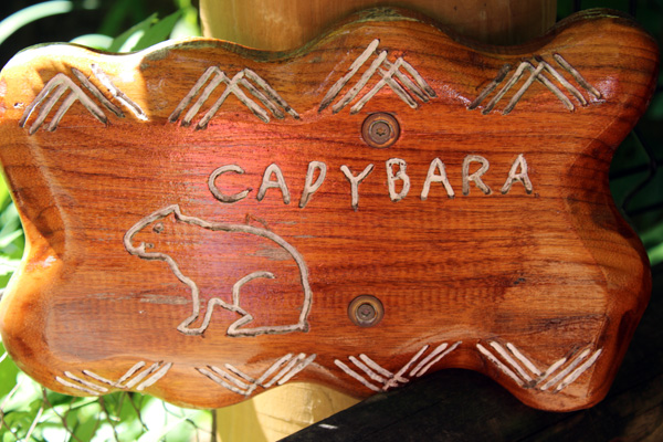 Capybara sign