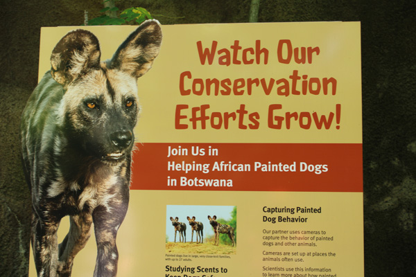 African Painted Dogs sign