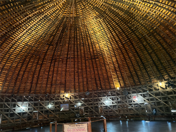 domed roof with a woven basket-like appearance
