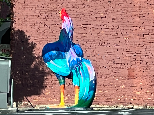 rooster at Mellow Mushroom