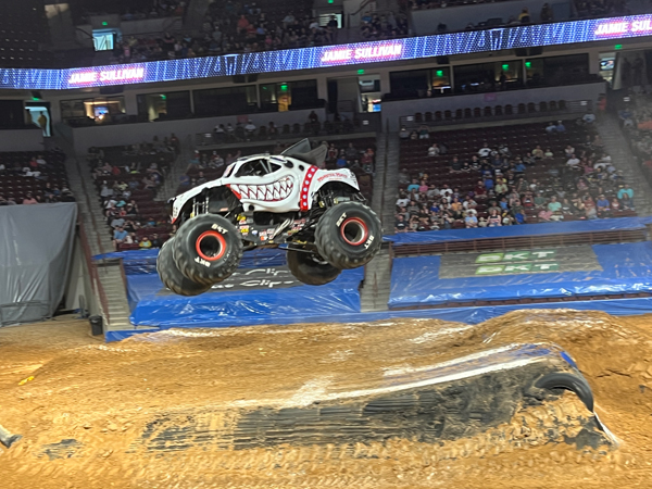 Monster Mutt Dalmatian