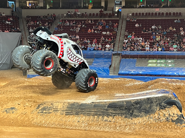 Monster Mutt Dalmatian