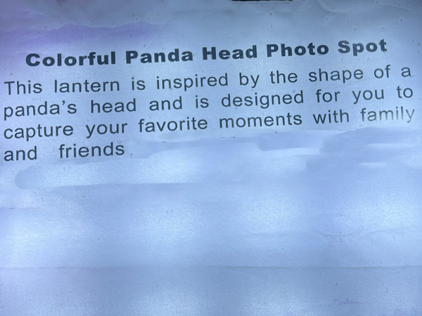colorful panda head photo spot