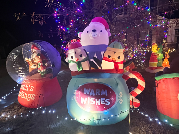 snow globe and warm wishes
