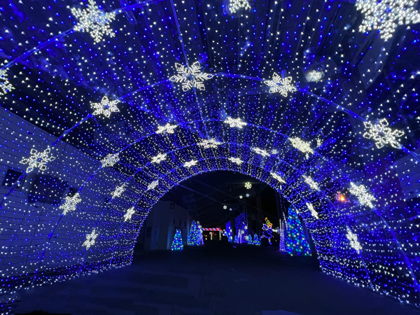 snowflake Christmas tree tunnel