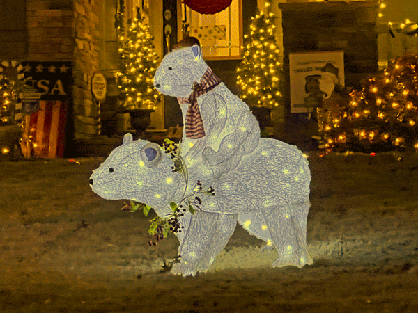 two polar bears in Christmas lights