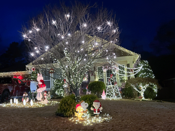 house and yard Christmas decorations