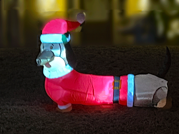 a very long hound dog Santa