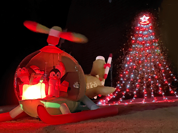 Penguins, helicopter and tree