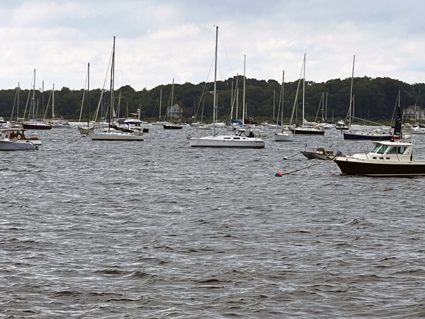 sailboats