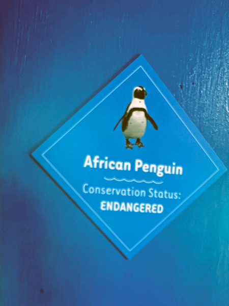 Arfrican Penguin sign