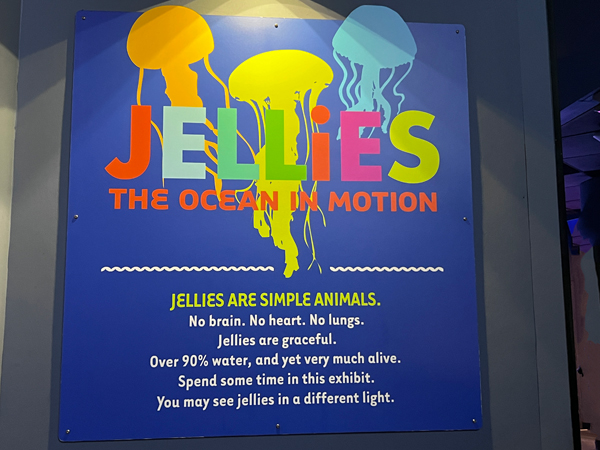 colorful sign about Jellies